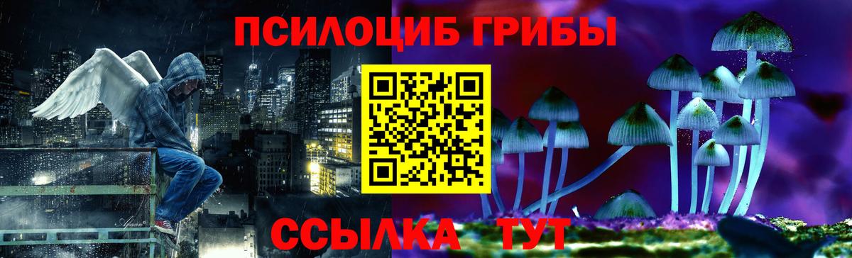 Ярцево  Псилоцибиновые грибы мицелий  Галлюциногенные грибы Psilocybe  что такое   Вход с VPN 